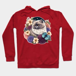 Persian cat Hoodie